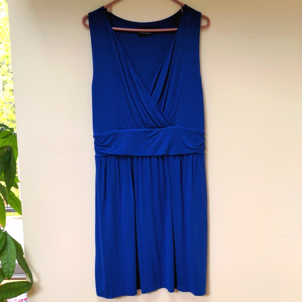 Cynthia Rowley soft blue dress